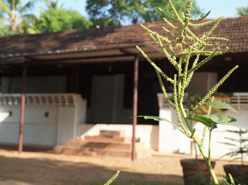 Chedi Spring Valley Hotell Athirappilly Exteriör bild